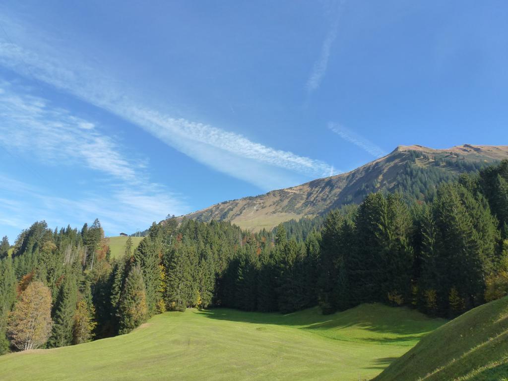 Walser Berg Chalets ريزلرن المظهر الخارجي الصورة